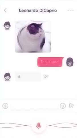 DDOS网页端源码软件程序维护界面